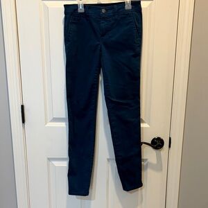 41 Hawthorn Blue Skinny Pants